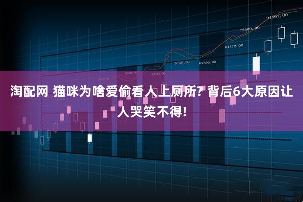 淘配网 猫咪为啥爱偷看人上厕所? 背后6大原因让人哭笑不得!